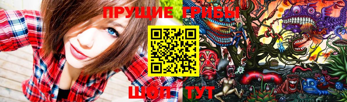Галлюциногенные грибы Psilocybine cubensis  Вход с VPN  Знаменск 