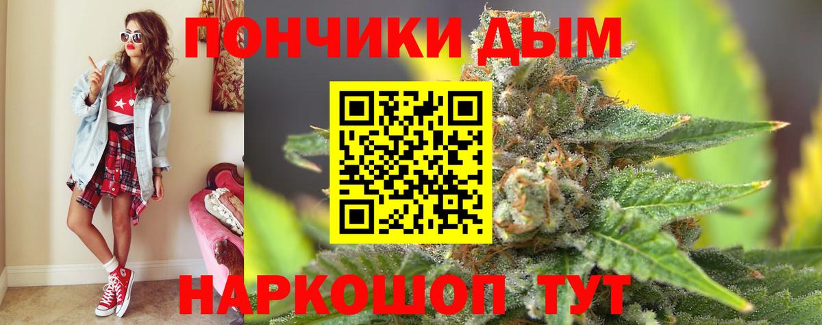 Бошки Шишки план Знаменск